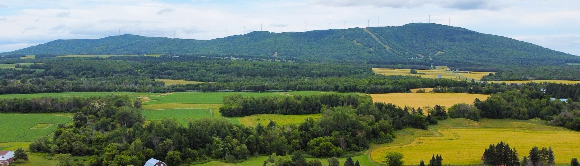 Mars Hill Mountain
